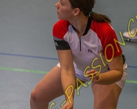 2BULLMINTON - 0012